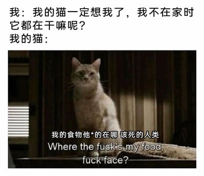 这是一张充满反差感的搞笑宠物梗图，图中上方是铲屎官的内心独白，铲屎官满怀温情地认为自己不在家时猫咪会想念自己，好奇猫咪的日常；下方是一只表情凶狠、端坐台面的猫咪，搭配中英文脏话字幕，直白地表达猫咪根本不关心主人，只在乎自己的食物在哪里，还愤怒地咒骂主人。整幅图通过铲屎官的自我脑补和猫咪的真实诉求形成强烈反差，诙谐地展现了猫咪高冷、以食物为核心的性格，精准戳中养猫人群的日常共鸣。