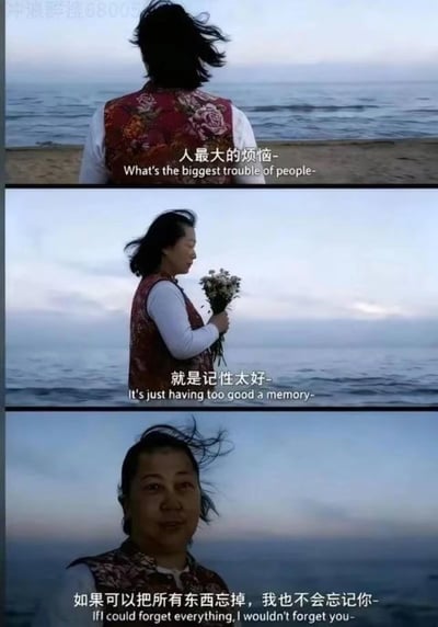 这是一张三格拼接的二次创作梗图，将网络上中年女性在海边的画面，搭配经典电影《东邪西毒》的经典台词：第一格为女性背影，配文“人最大的烦恼-”；第二格为女性手持白花侧身看向海面，配文“就是记性太好-”；第三格为女性转头看向镜头，配文“如果可以把所有东西忘掉，我也不会忘记你-”，每句台词都附带英文翻译。用反差感的日常画面搭配深情台词，表达对无法忘怀之人的执念，无谐音、双关等特殊梗。