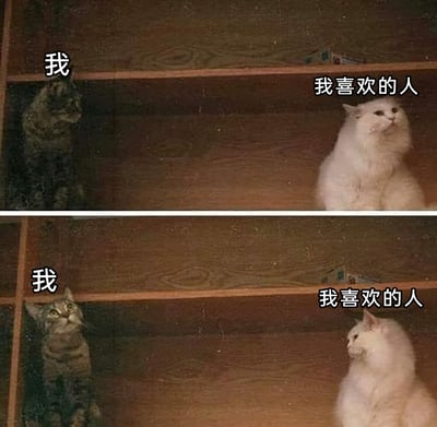 这是一张上下分栏的对比梗图，以两只猫咪的互动具象化暗恋者的微妙心境。上半部分中，标注为“我”的狸花猫正满心满眼注视着标注为“我喜欢的人”的白猫，而白猫完全没有察觉，转头看向别处；下半部分里，狸花猫收起目光抬头看向别处，不再关注白猫，此时白猫却转头看向了狸花猫。这个画面精准还原了很多人在暗恋时遇到的错位关注：当自己专注于对方时得不到回应，当自己转移注意力时，对方的目光却又投向了自己，道尽了暗恋中的无奈与酸涩。