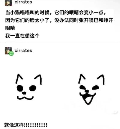 这是一张社交媒体截图形式的梗图，上方显示用户“cirrates”的文字内容：“当小猫喵喵叫的时候，它们的眼睛会变小一点，因为它们的脸太小了，没办法同时张开嘴巴和睁开眼睛 我一直在想这个”。下方同样是“cirrates”的内容，包含两个简单的像素风格猫脸图案，左侧猫脸眼睛圆睁、嘴巴紧闭，右侧猫脸眼睛眯起、嘴巴张开呈喵喵叫状态，下方配有文字“就像这样!!!!!!!!!!!!!!”。整体通过幽默的观察和直观的像素图对比，调侃小猫喵喵叫时眼睛变化的可爱现象。