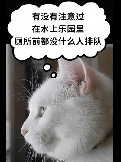 图片主体是一只白色猫咪的侧脸特写，猫咪眼神望向左侧，表情呈现出若有所思的状态。其头部上方有一个白色云朵状的思考泡泡，内含文字：“有没有注意过 在水上乐园里 厕所前都没什么人排队”。整体画面通过猫咪的沉思表情与幽默的文字内容相结合，引发观者对日常生活中这一有趣现象的思考，风格轻松诙谐。