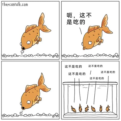 这是一幅四格连环幽默漫画：第一格中，一条卡通金鱼盯着鱼缸底部的小石子，做出要将其吸入口中的动作，吐出小泡泡；第二格，这条金鱼反应过来，开口说道“呃，这不是吃的”；第三格，金鱼还是没能忍住，再次凑近缸底的石子，做出吸的动作；第四格，画面切换到完整的鱼缸，里面有多条金鱼，每条都在重复说着“这不是吃的”，这些话语的线条垂落下来，仿佛形成了一种摆脱不掉的循环，生动地讽刺了金鱼记忆力差、明知不是食物却仍忍不住尝试的习性，用拟人化的方式制造出荒诞又好笑的效果。