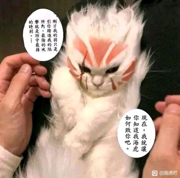 《海虎》