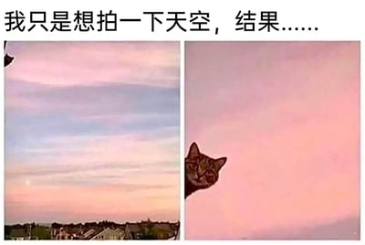 这是一张左右拼接的对比趣味图，上方配有文字“我只是想拍一下天空，结果……”。左侧图片呈现出粉蓝渐变的浪漫黄昏天空，下方是错落的居民区房屋，画面左上角仅露出一小截猫耳朵，暗示有猫咪存在；右侧图片则聚焦粉色天空，一只表情戏谑搞怪的狸花猫从画面左侧探出头，占据了画面的一部分。原本想要拍摄天空的温馨场景，被意外入镜的猫咪打破，制造出有趣的反差感，展现了生活中养猫时遇到的搞笑小意外，充满治愈感和趣味性。