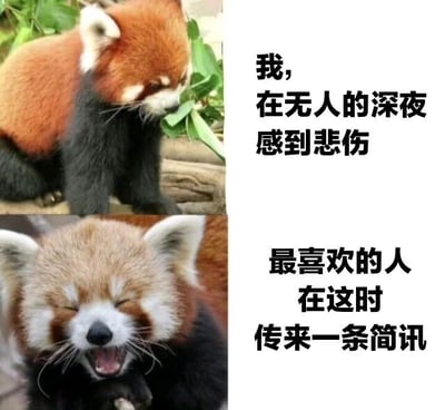图片由左侧两张小熊猫照片与右侧文字组成。上方小熊猫呈坐姿，低头专注啃食绿叶，毛色红棕与黑色相间，背景有绿色植物；下方小熊猫双眼紧闭，嘴巴大张，露出牙齿，表情显得十分开心。右侧文字分两行：“我，在无人的深夜感到悲伤”和“最喜欢的人在这时传来一条简讯”，通过上下图片对比和文字叙事，生动展现了从孤独悲伤到因收到消息而瞬间喜悦的情绪变化。