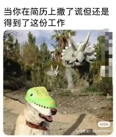 这张梗图以幽默夸张的方式描绘了简历造假成功入职后的职场人心态。前景中一只戴着绿色恐龙头套的真实狗狗，就像靠着虚假简历混进公司的员工，表面伪装成符合岗位要求的“厉害角色”（恐龙），但本质还是普通的“狗狗”；背景里的大型恐龙雕塑则象征着公司里真正具备实力、符合岗位标准的“老员工”或“正确人选”，狗狗混在其中的画面，精准对应了入职后心虚、怕被拆穿的尴尬处境。配文“当你在简历上撒了谎但还是得到了这份工作”直接点题，戳中社畜的职场尴尬瞬间，用动物画面放大了这种心虚又侥幸的情绪，十分搞笑。