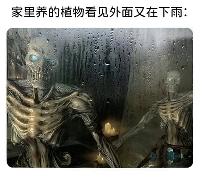 图片上方有文字"家里养的植物看见外面又在下雨:"，下方是两个恐怖的僵尸状生物站在被雨水打湿的窗户后面，它们有着发光的蓝色眼睛和暴露的骨骼，背景中有点燃的蜡烛，营造出阴森诡异的氛围。这张梗图通过拟人化的手法，幽默地表现了家里的植物在看到外面下雨时可能有的"反应"，暗示植物因为下雨而不需要浇水的状态。