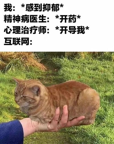 这是一张图文混排的网络梗图，上方以分角色对话的形式呈现了“我”陷入抑郁情绪时，不同对象的应对方式：“我”明确表达自己处于抑郁状态，精神病医生的应对方式是开药，心理治疗师则选择开导“我”，而互联网对应的是下方的视觉错位图片——一只橘猫的身体与伸出的手掌位置恰好重叠，营造出橘猫小巧到能被托在掌心的错觉，橘猫神情低落，和“我”的抑郁情绪形成微妙呼应，同时这种荒诞又可爱的视觉效果，又能带来轻松搞笑的治愈感。整张图通过对比专业人士的严肃应对和互联网的趣味治愈，调侃了互联网上的轻松内容在情绪安抚上的独特作用，用幽默的方式消解抑郁情绪的沉重感。