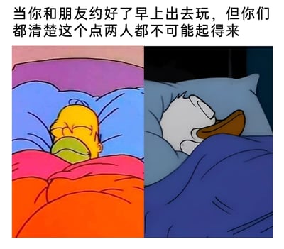 这是一张左右拼接的动画梗图，上方配有文字“当你和朋友约好了早上出去玩，但你们都清楚这个点两人都不可能起得来”。左侧是美国动画《辛普森一家》里的主角霍默·辛普森，他盖着橙红色被子躺在床上，双眼紧闭，正处于熟睡状态；右侧是迪士尼经典动画《米老鼠和唐老鸭》中的唐老鸭，同样盖着深蓝色被子躺在床上，双眼紧闭，熟睡不醒。整张图通过两个经典卡通角色熟睡的状态，生动又幽默地展现了当代年轻人和朋友约定早起出门，双方却都心照不宣地知道彼此根本起不来的默契日常，精准戳中了很多人“想早起却做不到”的生活痛点，充满共鸣感。