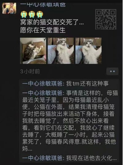 这是一张微信朋友圈的静态截图，用户“一中心徐敏琪爸”发布动态，以三个惊恐表情开头，配文表示自家公猫因交配意外离世，写下“窝家的猫交配交死了...愿你在天堂重生”，并附上三张猫咪照片：第一张是公猫与母猫互动的画面，后两张是公猫仰躺的照片。3小时后，该用户在自己的动态下评论，详细讲述事件经过：此前因母猫乱小便将其关在笼子，清理笼子时放出母猫活动，之后去睡觉，中途起来查看发现两只猫正在交配便放心继续休息，一小时后醒来发现公猫已经离世，而母猫状态如常，最后表示正准备送公猫去火化。整个内容记录了一起罕见的宠物意外事件，以生活化的朋友圈形式呈现，带有意外和戏剧性的色彩。