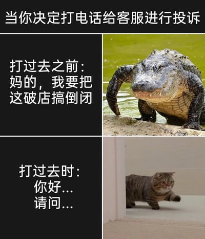 这是一张上下分栏的对比类梗图，顶部标题为“当你决定打电话给客服进行投诉”，精准还原了很多人准备投诉时的内心反差。上半部分对应“打过去之前”，搭配一张神态凶狠、从浑浊水域爬上岸的鳄鱼图片，配文“妈的，我要把这破店搞倒闭”，生动表现出投诉前愤怒、充满斗志、气势汹汹的情绪；下半部分对应“打过去时”，搭配一只缩在墙角、眼神怯懦的猫咪图片，配文“你好...请问...”，展现出真正与客服沟通时，瞬间变得胆小、语气客气的状态，用两种动物形象的强烈反差，放大了这种想维权却“嘴怂”的真实生活体验，十分搞笑且有共鸣。
