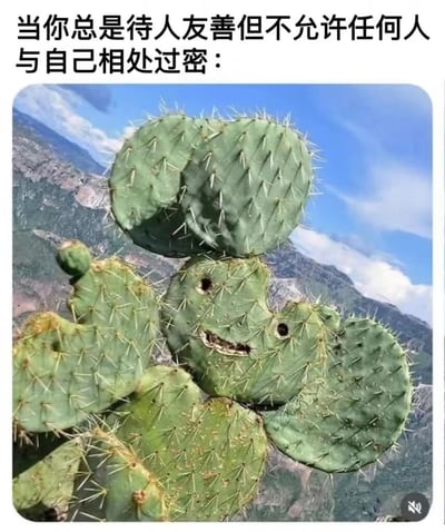 一张幽默的梗图，上方配有文字“当你总是待人友善但不允许任何人与自己相处过密：”，下方是一张自然拍摄的仙人掌照片。这棵仙人掌的形状恰好形成了一个笑脸的模样（两个小洞作为眼睛，一道自然的曲线作为微笑的嘴巴），但同时全身布满了尖锐的刺。图片通过仙人掌这种外表带刺却形似笑脸的植物，巧妙比喻了那些表面友善、内心却保持强烈边界感的人。