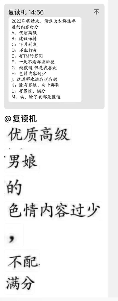 图片上半部分是社交平台群聊截图，用户“复读机”在14:56发送消息：“2023即将结束，请您为本群该年度的内容打分”，并列出A到M共13个幽默打分选项，包括“优质高级”“色情内容过少”“有男娘，满分”等搞笑选项。截图下方用大号文字单独提取并拼接了“优质高级”“男娘”“的色情内容过少”“不配”“满分”等短语，形成对群聊内容的戏谑式评价。整体风格幽默调侃，充满群聊特有的轻松搞笑氛围。