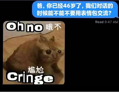 图片展示了一段虚构的亲子聊天记录：上方蓝色对话气泡中，孩子向46岁的父亲抱怨“我们对话的时候能不能不要用表情包交流？”；下方是父亲的回应——一张经典“哦不”猫咪表情包，图中棕黄色猫咪歪头凝视，配文“Oh no 哦不”和“尴尬 Cringe”，形成幽默的反差效果。
