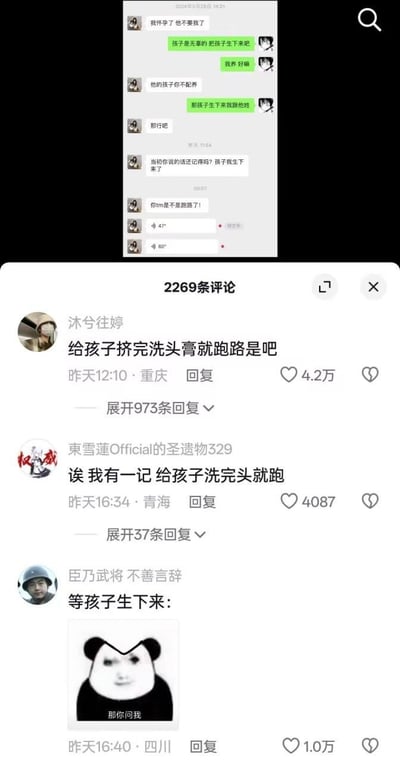 这是一张包含聊天记录与社交平台评论区的组合截图：上方聊天记录里，女生告知男生自己怀孕后被抛弃，男生当即口嗨表示愿意抚养孩子，甚至提出“孩子生下来我跟他姓”，结果女生生下孩子后联系男生，却发现对方已经跑路；下方评论区网友借此玩梗，用“给孩子挤完洗头膏就跑路”“给孩子洗完头就跑”这类内容调侃男生的不负责任，还有网友配上熊猫头表情包“那你问我”来强化戏谑效果，整体用搞笑的玩梗方式嘲讽了“口嗨式承诺”的荒诞。