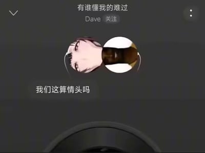 这是一张社交平台用户主页的截图，用户昵称是“有谁懂我的难过”，ID为Dave。页面中把一张动漫女性的半脸头像和一个深色管状物体的图片拼接在一起，形成了视觉上的错位效果，仿佛是一对情侣头像，下方配文“我们这算情头吗”，用这种荒诞的拼接方式玩梗，制造出搞笑又带着无奈的氛围，没有双关、谐音梗或其他暗示内容。