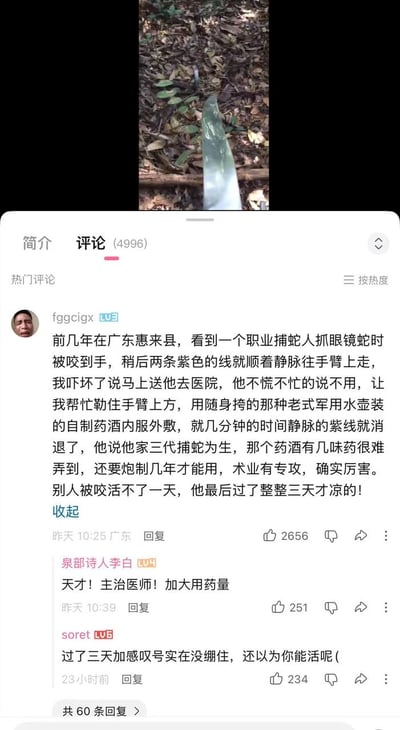 这张图片是社交媒体评论区截图，顶部上方的小图展示了户外落叶堆中露出的半条疑似毒蛇的蛇身，下方是对应的热门评论区：第一条热门评论先叙述了在广东惠来县亲眼见到职业捕蛇人被眼镜蛇咬伤后，拒绝前往医院，使用家传泡制多年的自制药酒内服外敷，很快消退了静脉上的中毒紫线，还夸赞对方术业有专攻，末尾突然反转提到该捕蛇人最后还是过了三天就去世了，形成强烈的反差笑点；下方还有两条其他用户的调侃回复，分别调侃该药酒效果是“加大用药量”，以及吐槽看到最后的反转内容没忍住笑。