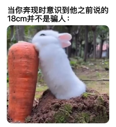 这张梗图使用了一张真实兔子的照片进行创意改编。图片上方配有文字："当你奔现时意识到他之前说的18cm并不是骗人的："，下方是一只白色兔子正用前爪抱着一根异常巨大的胡萝卜，胡萝卜的尺寸远超正常比例，与兔子形成鲜明对比。

图片运用了双关语的幽默手法，通过18cm这一测量值制造了预期与现实的反差笑点，暗示了网络约会中可能出现的对"18cm"所指事物的误解。