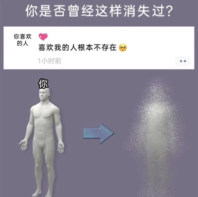 图片上方有文字“你是否曾经这样消失过？”，中间是一个社交软件界面截图，显示“你喜欢的人”旁边有两颗粉色星星，下方文字为“喜欢我的人根本不存在”并配有一个难过的表情。图片下方左侧是一个标有“你”的3D人体模型，模型隐私部位有马赛克处理，右侧有一个蓝色箭头指向一团由粒子组成的云雾，象征着人物消失。整个图片通过视觉隐喻表达了当喜欢的人表示没有人喜欢自己时，自己感到失落并“消失”的情感状态。
