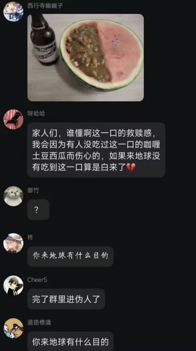 这是一张群聊界面截图，首先用户“西行寺幽幽子”发出一张实拍图，图中半块西瓜被挖去一半瓜瓤，装入了咖喱土豆菜肴，旁边还摆放着一瓶啤酒。随后用户“呀哈哈”发言盛赞这种咖喱土豆配西瓜的吃法有“救赎感”，称没吃过这种搭配就算白来地球。接下来其他群友纷纷表达不解：用户“御竹”发出问号，用户“柊”和“道路標識”先后质问“你来地球有什么目的”，用户“CheerS”调侃“完了群里进伪人了”，整体内容以猎奇食物搭配引发的反差吐槽为笑点，氛围诙谐搞笑。