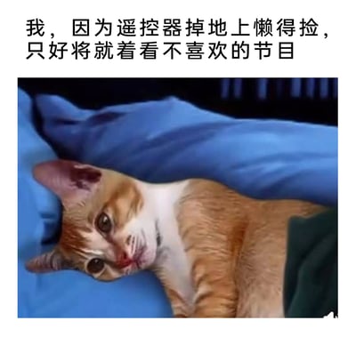 这是一张图文结合的搞笑生活梗图，上方的文字描述了一个极具共鸣的懒人日常场景：因为遥控器掉落在地上，自己却懒得起身去捡，只能被迫将就着观看自己不喜欢的电视节目；下方是一只橘白相间的猫咪，它瘫软地躺在床上，眼神委屈、神态无奈，完美拟人化地呈现出配文里那种被迫妥协、生无可恋的情绪，用动物的真实神态来放大日常小事里的无奈感，十分生动有趣，容易引发有相同经历的网友的共鸣。