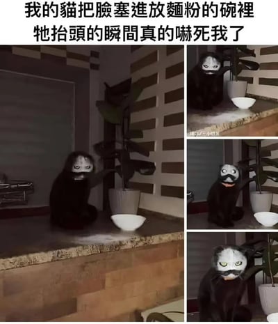 这组图片包含一张实拍图与两张网友二次创作的P图。实拍场景中，一只黑色猫咪将脸探入装面粉的碗中，抬头时脸部沾满面粉，白色面粉在黑毛的衬托下，让猫咪看起来如同戴着诡异的白色面具，搭配它严肃锐利的眼神，视觉效果颇具冲击力，博主称这一瞬间吓到了自己；另外两张P图则对猫咪形象进行了创意改编，分别将其P成带有搞怪面具、类似熊猫的搞笑形象，增添了内容的趣味性，展现了猫咪的调皮与网友的创意脑洞。