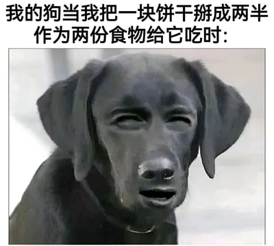 图片上方配有文字'我的狗当我把一块饼干掰成两半作为两份食物给它吃时:'，下方是一只拟人化的黑狗。这只狗有着人类般的眼睛和嘴巴，呈现出困惑且略带委屈的表情，仿佛在质疑主人为何将一块饼干'变'成两份。整体通过动物拟人化的创意手法，以幽默方式展现宠物面对主人行为时的可爱反应，引发观者共鸣和笑意。