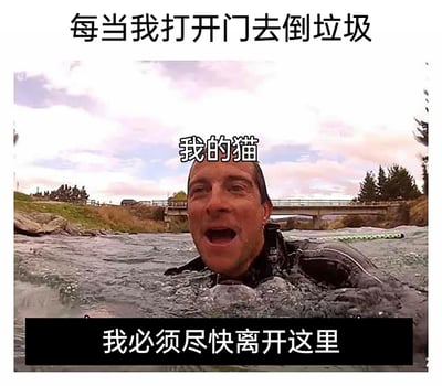 这是一张搞笑宠物梗图，用野外生存节目主持人贝尔·格里尔斯在湍急河流中惊慌求生的画面，来调侃主人开门倒垃圾时，猫误以为身处危险环境、急切想要逃离的状态。顶部文字“每当我打开门去倒垃圾”交代触发场景，中间标注“我的猫”将贝尔的形象代入猫咪，底部文字“我必须尽快离开这里”表现猫的慌张心态，通过将极端野外求生的紧张感与日常养猫的小场景结合，用夸张的反差感制造幽默效果，精准贴合很多养猫人遇到的猫咪胆小、害怕出门的日常趣事。