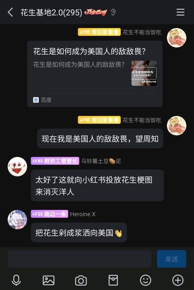 这是一张名为“花生基地2.0(295)”的社交群聊的屏幕截图，群成员围绕“花生是美国人的敌敌畏”这个话题展开趣味玩梗。用户“常回家看看（LV55）”首先分享了百度平台上一篇标题为《花生是如何成为美国人的敌敌畏？》的内容，该内容指向美国人普遍存在花生过敏、花生对过敏人群来说危险性极高的现实情况；随后该用户玩梗自称“现在我是美国人的敌敌畏，望周知”；接着用户“群劳工营营长（LV83）”开玩笑表示要向小红书投放花生梗图“消灭洋人”，用户“路边一条（LV23）”也跟着玩梗称“把花生剁成浆洒向美国”，整体对话充满趣味性，是基于现实知识点的搞笑延伸。