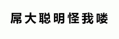 这是一张纯文字静态图片，背景为白色，中央有黑色粗体中文文字“屌大聪明怪我喽”。其中“大聪明”是网络流行的反讽用语，通常用来调侃他人自作聪明或实际不聪明，整体表达带有幽默和讽刺的语气，常用于网络聊天或社交媒体中进行调侃。
