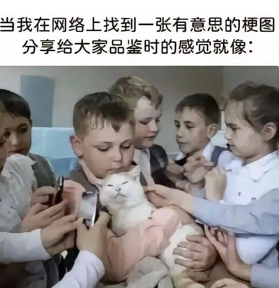 这是一张趣味网络梗图，图片上方配有文字“当我在网络上找到一张有意思的梗图分享给大家品鉴时的感觉就像：”，下方画面是一群孩子围在抱着猫的同伴身旁，孩子们面露好奇兴奋的神情，有的伸手触摸猫咪，有的拿着手机对猫咪进行拍摄；被簇拥在中间的白色猫咪则是一脸生无可恋、无奈的神态，仿佛因被过度关注而疲惫。这张图用这个生动的场景，形象比喻自己在网络上分享到有趣梗图后，如同这只猫咪一样成为众人关注的焦点，被大家热烈“品鉴”的状态，精准戳中了网友分享有趣内容时的心情。