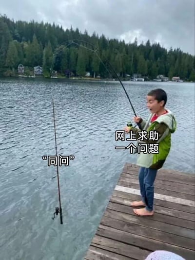 图片中，一个男孩赤脚站在湖边的木制码头上，右手紧握一根弯曲的钓鱼竿，表情兴奋，仿佛钓到了大鱼。他身旁的水面上插着另一根固定的钓鱼竿。图片右侧叠加文字“网上求助一个问题”，左侧固定鱼竿旁则有“同问”二字。该梗图通过钓鱼场景幽默比喻网络求助现象：有人发起提问（对应男孩主动钓鱼），而其他人常以“同问”附和却不提供解答（对应被动等待的固定鱼竿）。