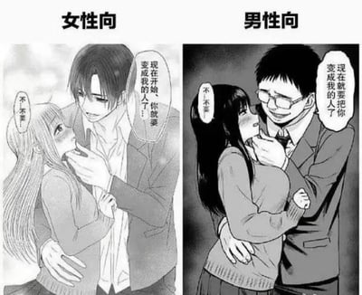 这是一张左右对比的黑白手绘漫画梗图，左侧标注「女性向」，画面中是一位外形俊美的白发男性，单手托住女生下巴，另一只手搂住女生腰肢，神情强势又带点深情地对女生说：「现在开始，你就要变成我的人了！」，女生红着脸，眼神带着羞涩与抗拒，小声说着「不要...」；右侧标注「男性向」，是一位戴眼镜的普通男性，做出完全相同的动作，对女生说：「现在就要把你变成我的人了」，女生同样红着脸，带着羞涩的抗拒说着「不...不要...」。
这张图通过复刻相同的霸总式桥段，用外形差异巨大的两位男主，调侃了女性向与男性向恋爱漫画的典型刻板设定：女性向更偏爱外形出众的完美男主，而男性向的男主则更贴近普通男性形象，以此形成强烈的反差感，达到搞笑的效果。