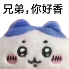 这是一张Chikawa（ちいかわ，小八）角色的表情包，上方配文为“兄弟，你好香”。小八的呆萌表情和微微泛红的脸颊，配合这句调侃式骚话，极富反差萌和趣味性。图片广泛应用于弹幕、聊天等场景，用于夸赞帅气/可爱的人、角色或者朋友，其中“香”字有调侃和暧昧双关，常用于同性、BL圈以及男娘、美型角色的二次创作。也有一种“骚话”幽默和暧昧气氛，适合轻松搞笑的场合，是近年来网络文化中的典型“社交赞美梗”。
- 双关解释：这里“香”既代表吸引力、赞美，又有轻微暧昧、戏谑成分。
- 表情和配文搭配，营造出一种可爱加骚动的奇妙反差。