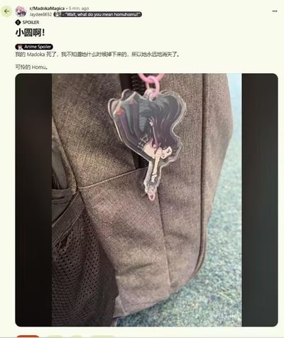 这是Reddit论坛r/MadokaMagica板块的用户Jaydee8652发布的玩梗帖子。帖子中展示了一个背包的照片，背包上原本的鹿目小圆（《魔法少女小圆》的主角）主题挂饰只剩下连接的粉色挂绳，挂饰主体已经丢失。楼主结合《魔法少女小圆》的核心剧情——主角鹿目小圆最终永远消失的情节，配文调侃道“我的Madoka死了，我不知道她什么时候掉下来的，所以她永远地消失了。可怜的Homu。”，其中“Homu”是晓美焰的昵称，对应原作里晓美焰对小圆的执念，将日常里挂饰丢失的小事和动漫的悲情剧情结合，制造出悲伤又好笑的反差感，属于粉丝的趣味玩梗内容。