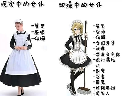 这张图以左右对比的形式呈现了现实与动漫中女仆的差异：左侧是身着传统女仆装的真人女仆，标注的职责为管家、厨师、保姆，是常规的家政服务人员；右侧是出自《辉夜大小姐想让我告白～天才们的恋爱头脑战～》的早坂爱，作为动漫里的女仆，除了基础的家政职责外，还被赋予了女服务员、间谍、学生会主席、流行偶像、龙、刺客、忍者、恶魔、超级英雄、前军人等五花八门的夸张身份。通过这种强烈的反差，调侃二次元作品中女仆角色往往拥有多重隐藏身份，和现实女仆的定位形成搞笑的错位感。
