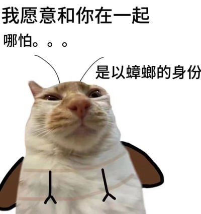 这是一张幽默搞笑的改编梗图，画面主体是一只猫的脸部被编辑，头顶添加了蟑螂的触角，身体部分被P成蟑螂的形态，包括翅膀和简单的拟人化肢体。图片上方配有文字“我愿意和你在一起 哪怕。。。”，右侧则补充“是以蟑螂的身份”，通过将可爱的猫与令人不适的蟑螂形象结合，形成强烈的反差萌和荒诞感，表达一种夸张的深情，整体风格诙谐有趣。