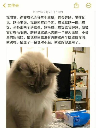 这是一张经典的小猫文学图文作品，整体为图文混排结构，上方标注时间为2022年9月25日12:21，文字以主人视角讲述了和小猫关于三个愿望的对话：主人问小猫如果有三个愿望会许什么，小猫说第一个愿望是吃小猫饭，第二个还要一碗小猫饭，甚至想把第三个愿望也换成小猫饭，在得知这个聊天话题的愿望不会真的实现后，小猫道歉说自己送给主人的愿望没用了，文风质朴软萌，带着淡淡的温柔治愈感。图片下方是一只浅灰色长毛布偶猫，正垂着脑袋低眉，神态略带低落惆怅，拍摄场景为普通居家室内，能看到电视、置物架、抽纸等日常家居物品。