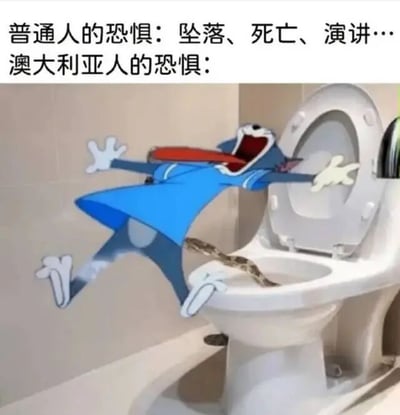图片通过文字对比和卡通画面制造幽默效果。上方文字写道“普通人的恐惧：坠落、死亡、演讲…”，下方对应“澳大利亚人的恐惧：”并配有卡通场景——《猫和老鼠》中的Tom穿着蓝色衣服，正惊恐地向后仰倒，双手张开，嘴巴大张尖叫，而马桶内有一条蛇探出头来。通过夸张对比，调侃澳大利亚因野生动物繁多而可能面临的独特“如厕惊魂”场景。