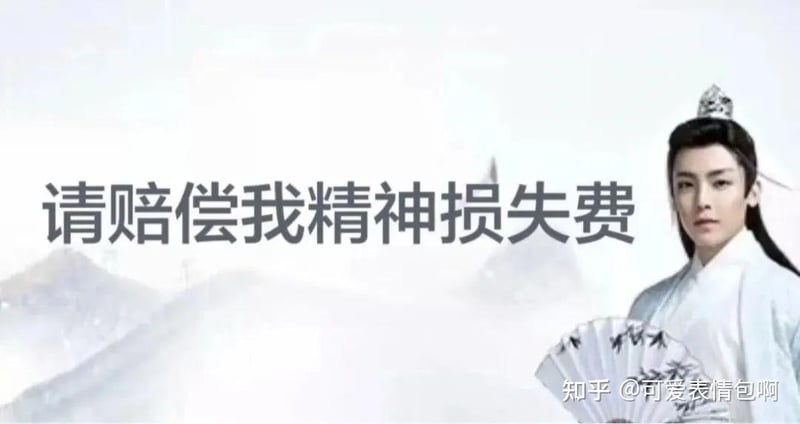 古风小生请赔偿精神损失费