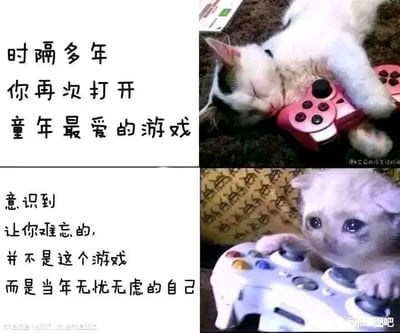 这是一张上下拼接的图文混排梗图，上图呈现一只闭着眼睛、神态放松满足的白色猫咪，躺着抱着粉色游戏手柄，搭配文字“时隔多年 你再次打开 童年最爱的游戏”，模拟人重温童年游戏的初始状态；下图是一只眼含泪水、神情悲伤的猫咪，握着白色游戏手柄，配文“意识到 让你难忘的，并不是这个游戏 而是当年无忧无虑的自己”。整幅图通过猫咪拟人化的状态对比，精准戳中成年人的情绪，表达了在重温童年游戏时，真正怀念的是当年无拘无束、没有烦恼的自己，而非游戏本身，容易引发大众对童年时光的怀旧共鸣。
