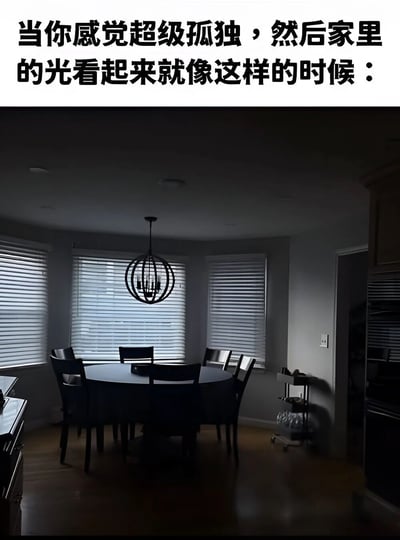 图片上方有一行黑色文字：'当你感觉超级孤独，然后家里的光看起来就像这样的时候：'，下方是一张昏暗的餐厅照片。餐厅内有一张圆形餐桌，周围摆放着黑色椅子，天花板上悬挂着一个黑色球形吊灯。窗户装有白色百叶窗，光线昏暗，整体氛围冷清，直观展现了孤独时对环境光线的主观感受。