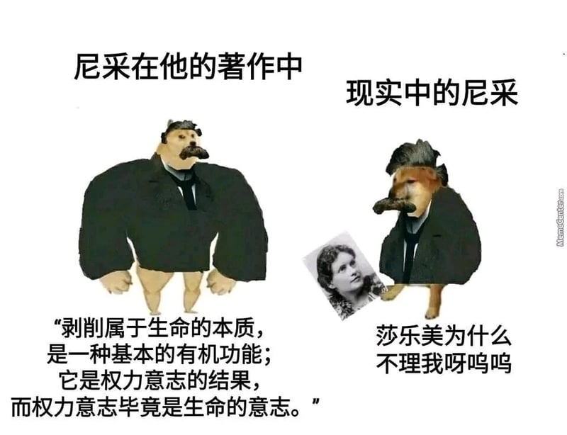 与尼采有情感纠葛的人物