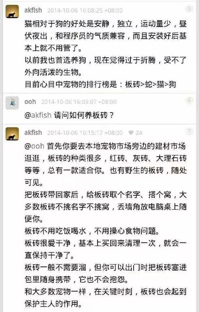 这是一段2014年的论坛聊天记录截图，用户akfish分享了自己的宠物偏好，因为嫌养狗折腾，将板砖列为自己心中的Top1宠物，理由是板砖安静、无需打理，完全契合自己喜欢安静的需求，还给出了板砖>蛇>猫>狗的宠物排行榜。另一位用户ooh好奇询问如何饲养板砖，akfish则一本正经地给出了详细的“饲养指南”，包括挑选板砖的渠道、日常照料方式、携带方法，甚至提到板砖能在关键时刻保护主人，用极其认真的语气讲述无厘头的内容，制造出强烈的搞笑效果，没有双关、谐音梗等内容。