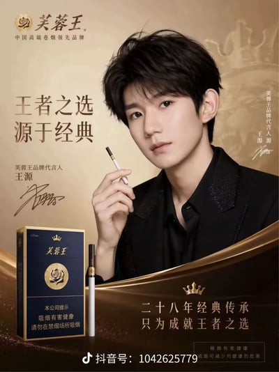 这是一张经过PS改图的虚假烟草宣传海报，整体采用金棕色的高端质感配色，画面主体右侧为艺人王源的形象，他身着带有亮钻装饰的黑色上衣，右手持一支芙蓉王香烟面向镜头；画面左侧从上到下依次印有芙蓉王品牌logo、“中国高端卷烟领先品牌”字样、“王者之选 源于经典”的宣传语，标注王源为芙蓉王品牌代言人并附有其签名；左下角摆放有芙蓉王香烟产品包装盒与单支香烟，盒身印有“吸烟有害健康 请勿在禁烟场所吸烟”的健康提示；画面底部印有“二十八年经典传承 只为成就王者之选”的品牌宣传语，底部居中位置带有抖音号水印，右下角同样标注有吸烟健康提示内容。