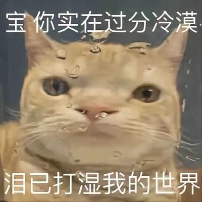 图片主体为一只橘色猫咪的面部特写，猫咪眼睛睁大，面部覆盖着密集的水珠，营造出流泪的视觉效果。图片上方配有文字“宝你实在过分冷漠”，下方配有文字“泪已打湿我的世界”，整体通过猫咪委屈的表情和文字结合，表达一种因对方冷漠而感到伤心、委屈的情绪。