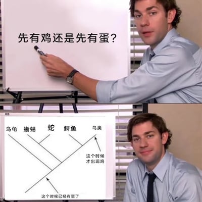 这是一张经典梗图，改编自美剧《The Office》的表情包，图中角色用白板分析“先有鸡还是先有蛋”。上半部分提出问题，下半部分用进化树解释，显示在出现鸡之前，“蛋”早已存在。画风轻松搞笑，还科普了进化论，讽刺了这个哲学难题。此图用进化生物学角度巧妙回应“先有鸡还是先有蛋”的问题，带有科普与反转的双关性质。