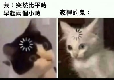 这是一张左右对比的双图梗图，左边是一只黑白猫，眼睛上有类似花朵的图案，表情看起来很惊讶；右边是一只白猫，额头上有类似太阳的图案，表情看起来很疑惑。图片上方配有文字，左边写着“我：突然比平时早起两个小时”，右边写着“家里的鬼：”，通过猫咪的表情对比，幽默地表现了当自己打破常规作息时，可能会让习惯了原有生活规律的“家里的鬼”感到惊讶和不解的有趣场景。