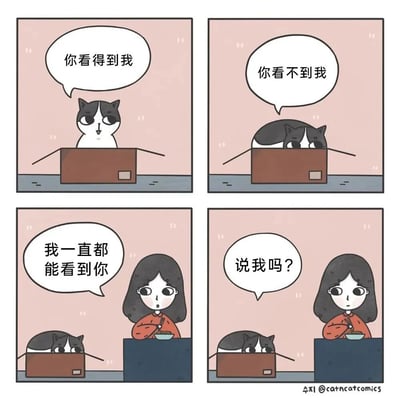 四格漫画展现猫咪与女孩的趣味互动：第一格中黑白猫从纸箱探出头说“你看得到我”，第二格猫咪躲进纸箱只露头顶说“你看不到我”，第三格女孩惊讶地表示“我一直都能看到你”，第四格猫咪疑惑地问“说我吗？”。通过简单对话和表情变化营造出轻松幽默的氛围。