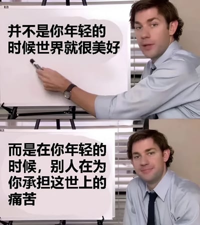 这是一张由两张《办公室》(The Office)电视剧截图拼接而成的梗图。上图中，Jim Halpert穿着浅蓝色衬衫，戴着手表，正在白板上写字，表情严肃，白板上有文字："并不是你年轻的时候世界就很美好"。下图中，他表情略带微笑，白板上的文字变为："而是在你年轻的时候，别人在为你承担这世上的痛苦"。图片通过对比和文字内容传达了关于成长和责任的感悟。